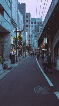 Explore the vibrant nightlife of Tokyo with city lights and bustling streets.