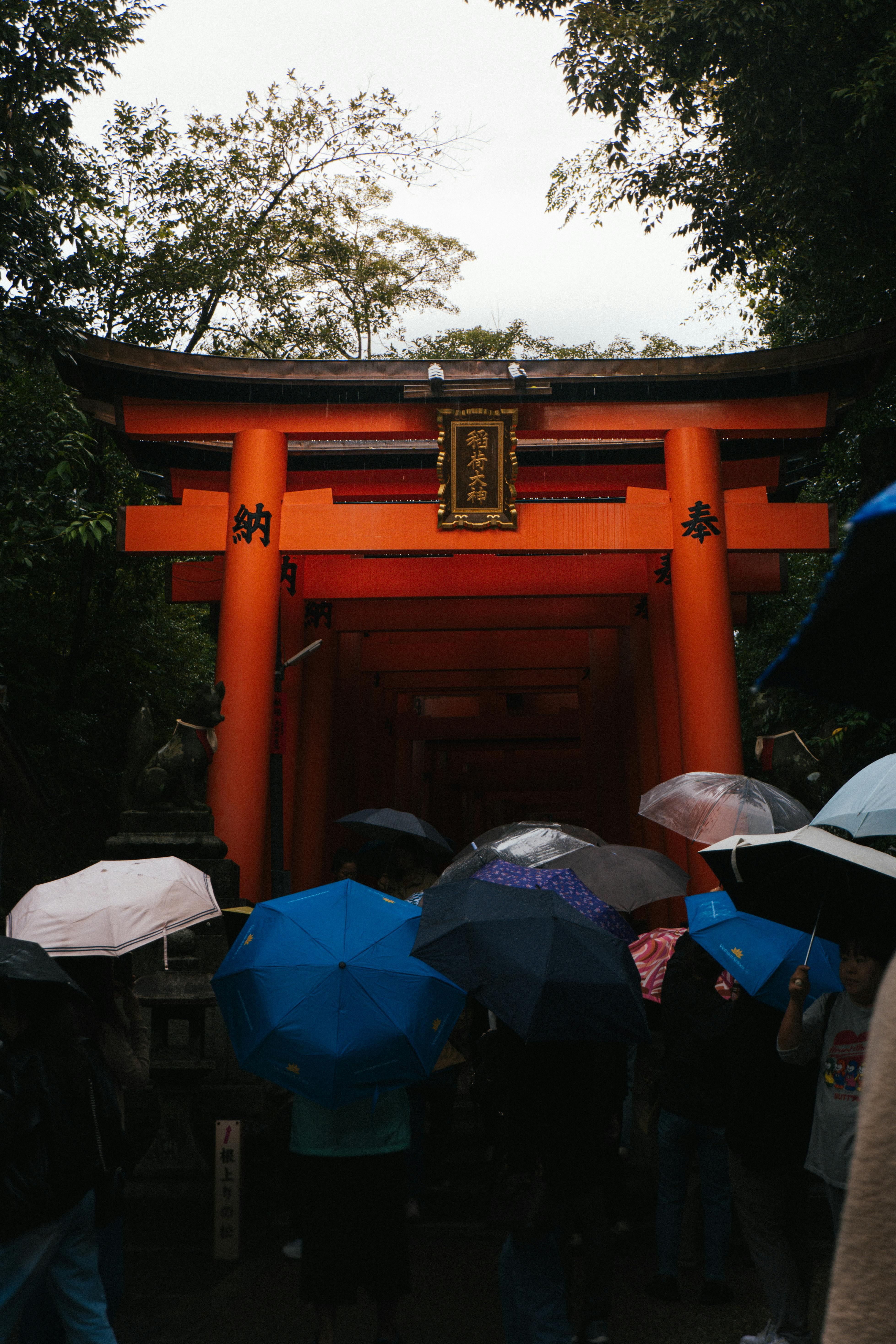 Dramatic view of Fushimi Inari Shrine's vermillion torii gates during rain with atmospheric lighting and reflective surfaces ideal for kimono photography