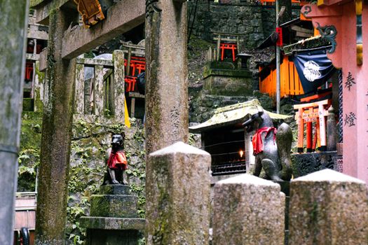 Fushimi Inari dawn before the crowds — Kyoto