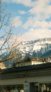 Snow-capped Alps with winter tree and urban building in foreground under bright sky.