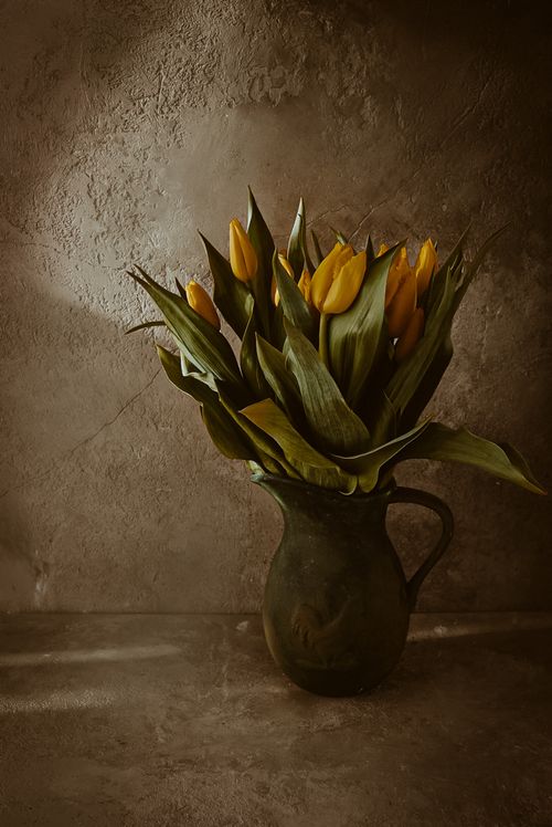 Free A vintage-style still life of yellow tulips in a dark ceramic pitcher against a textured wall. Stock Photo
