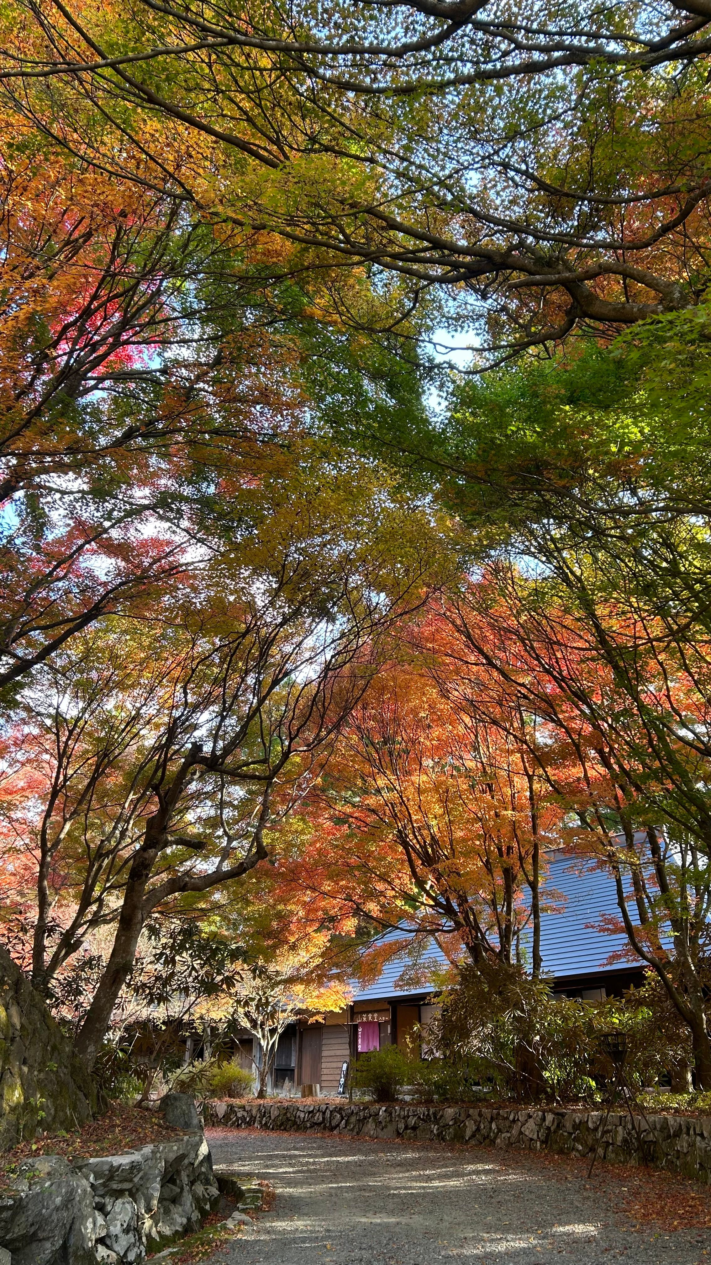 Kesimpulan: Road Trip Jepang, Lebih dari Sekadar Liburan