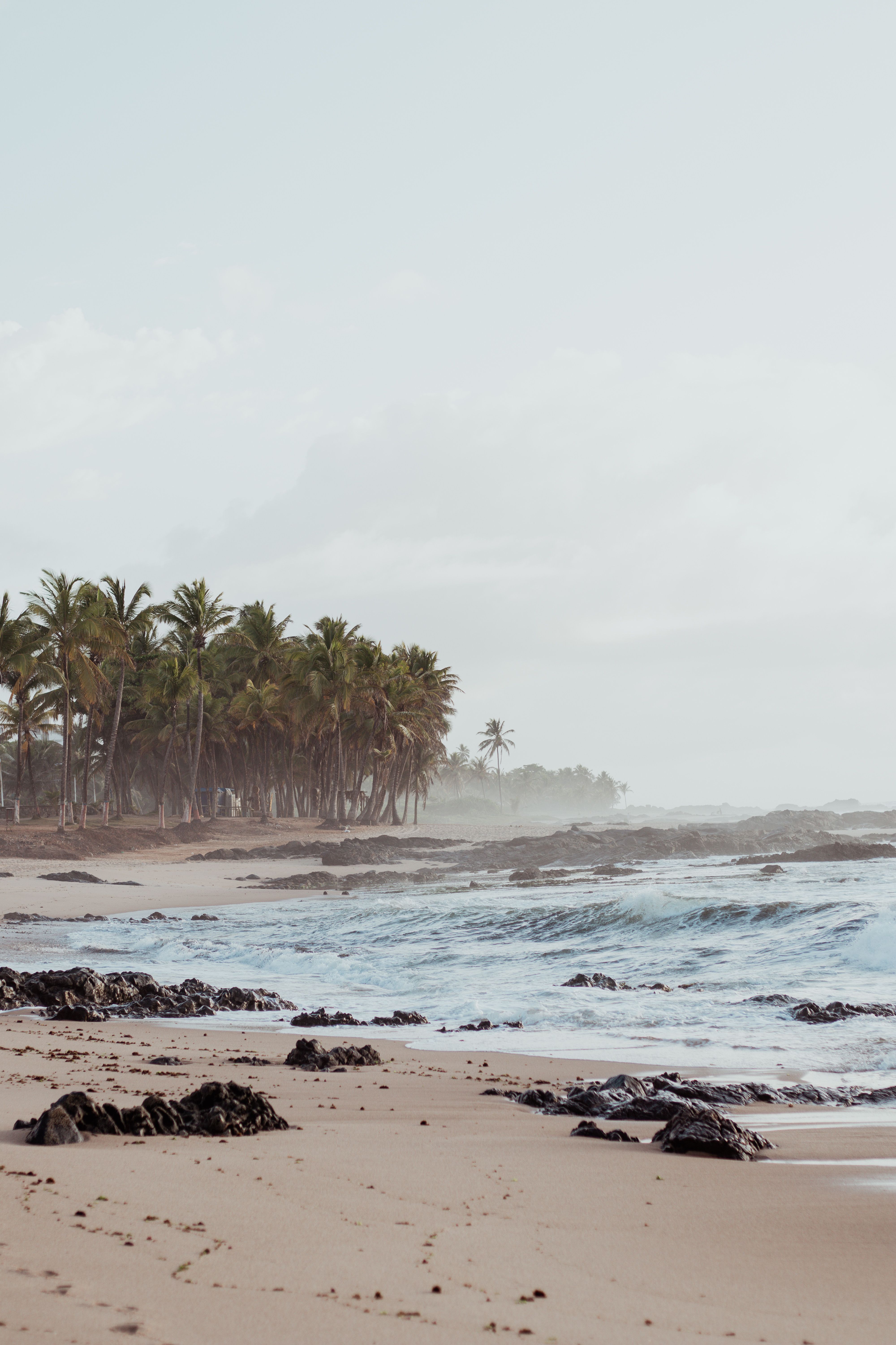 Plage de la Riviera Maya au Mexique, cocotiers et mer turquoise sous un ciel dégagé