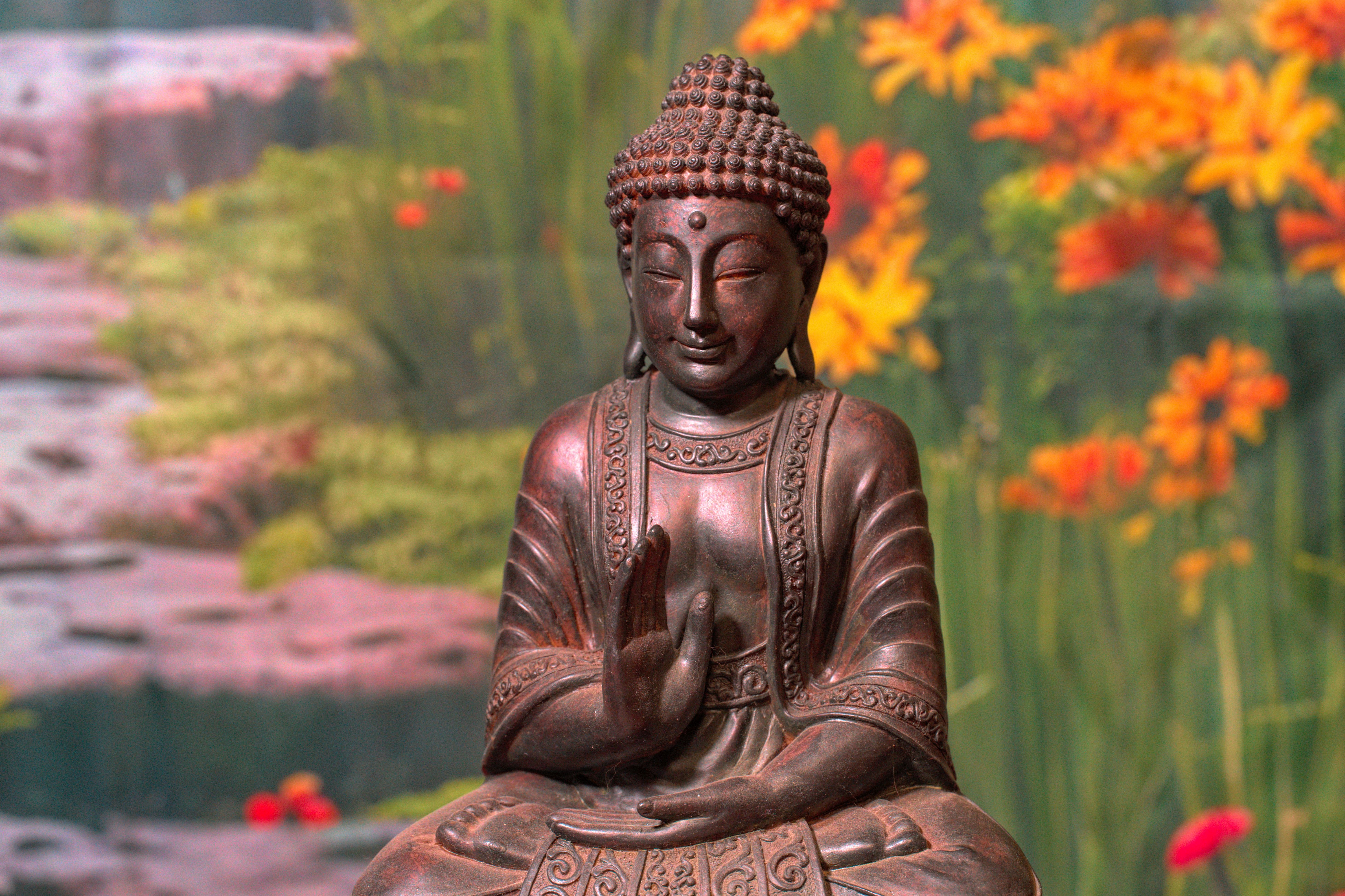 Serene Buddha Statue Amidst Vibrant Flowers · Free Stock Photo