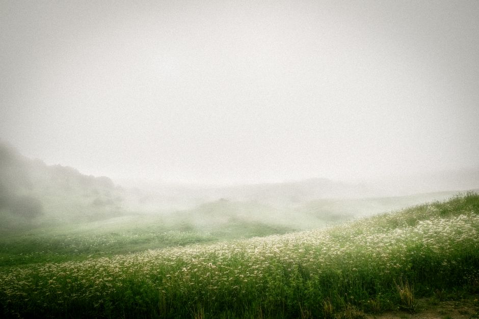 Tranquil misty landscape with lush green hills and white wildflowers, evoking calm and peace.
