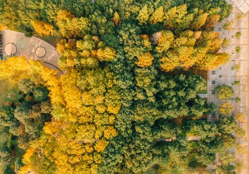 Aerial photograph capturing the vibrant colors of an autumn forest, showcasing the changing foliage from above.