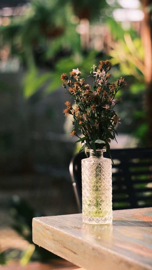 Free Charming wildflowers in a crystal vase on a sunny outdoor table, perfect decor inspiration. Stock Photo