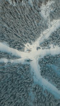 Drone captures a serene snowy forest and winding paths in Serbia, showcasing winter's beauty.