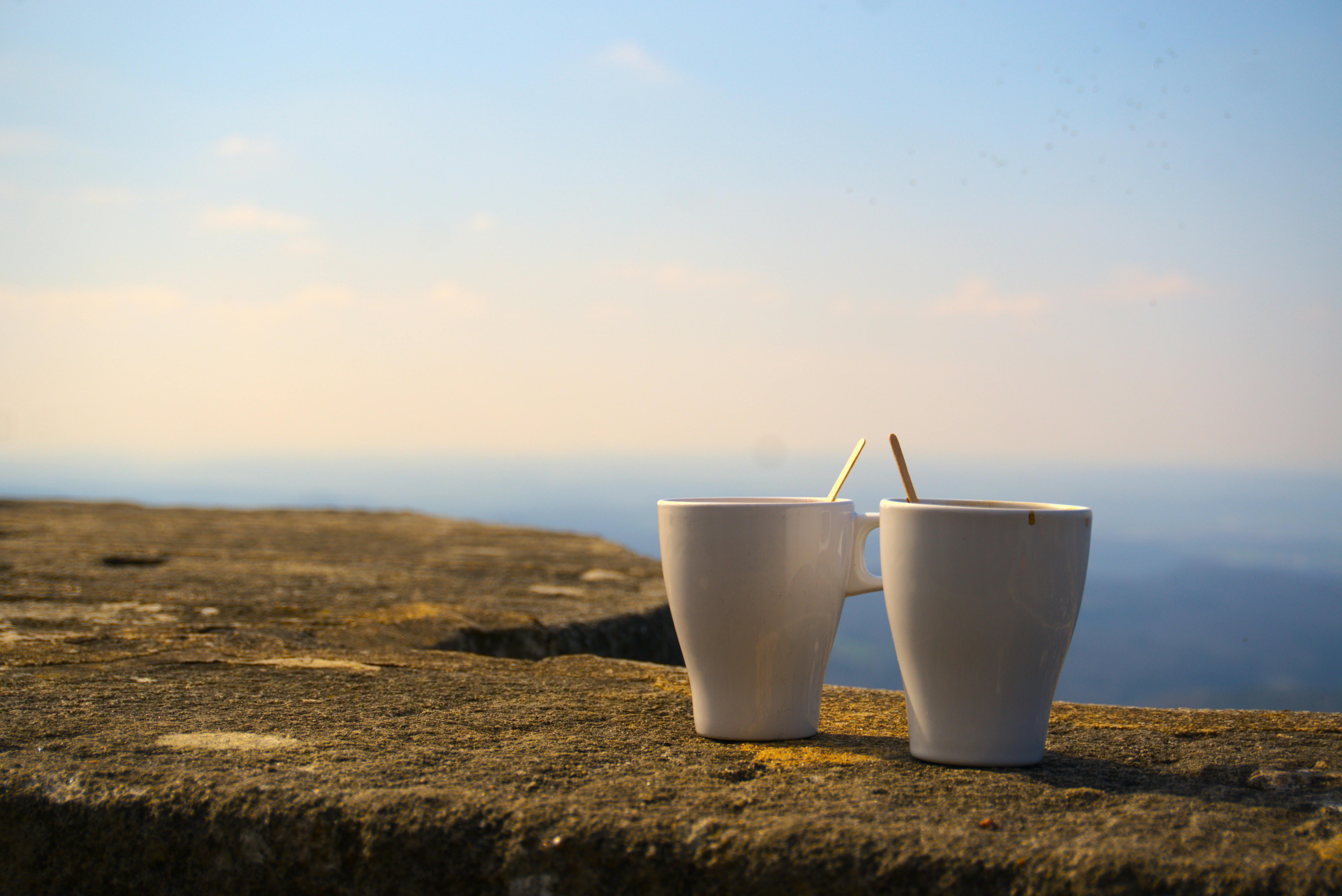Tips Tambahan: Minuman Gratis di Turki!