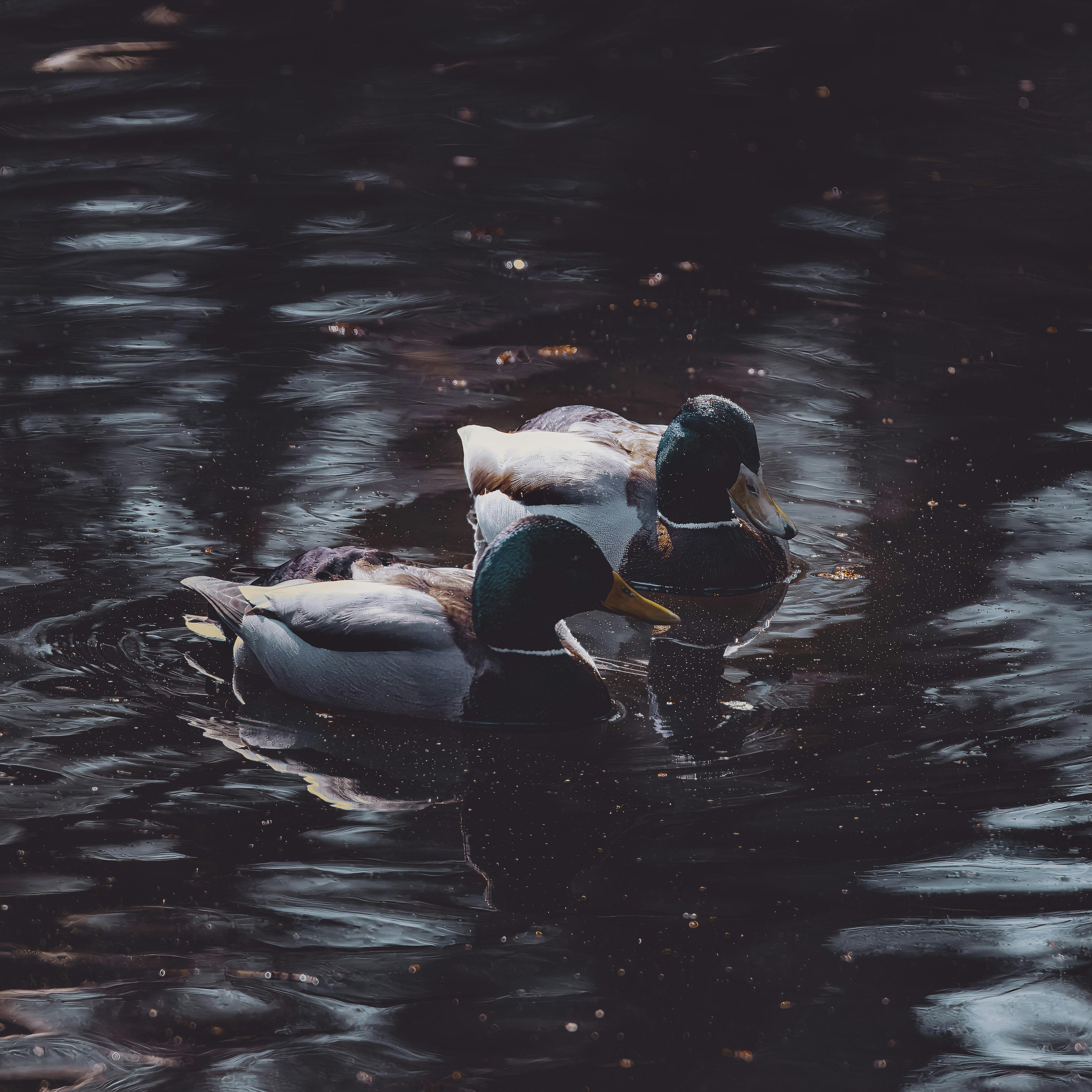 屏東彩券行逆襲！同日開出雙獎 🎉💰
