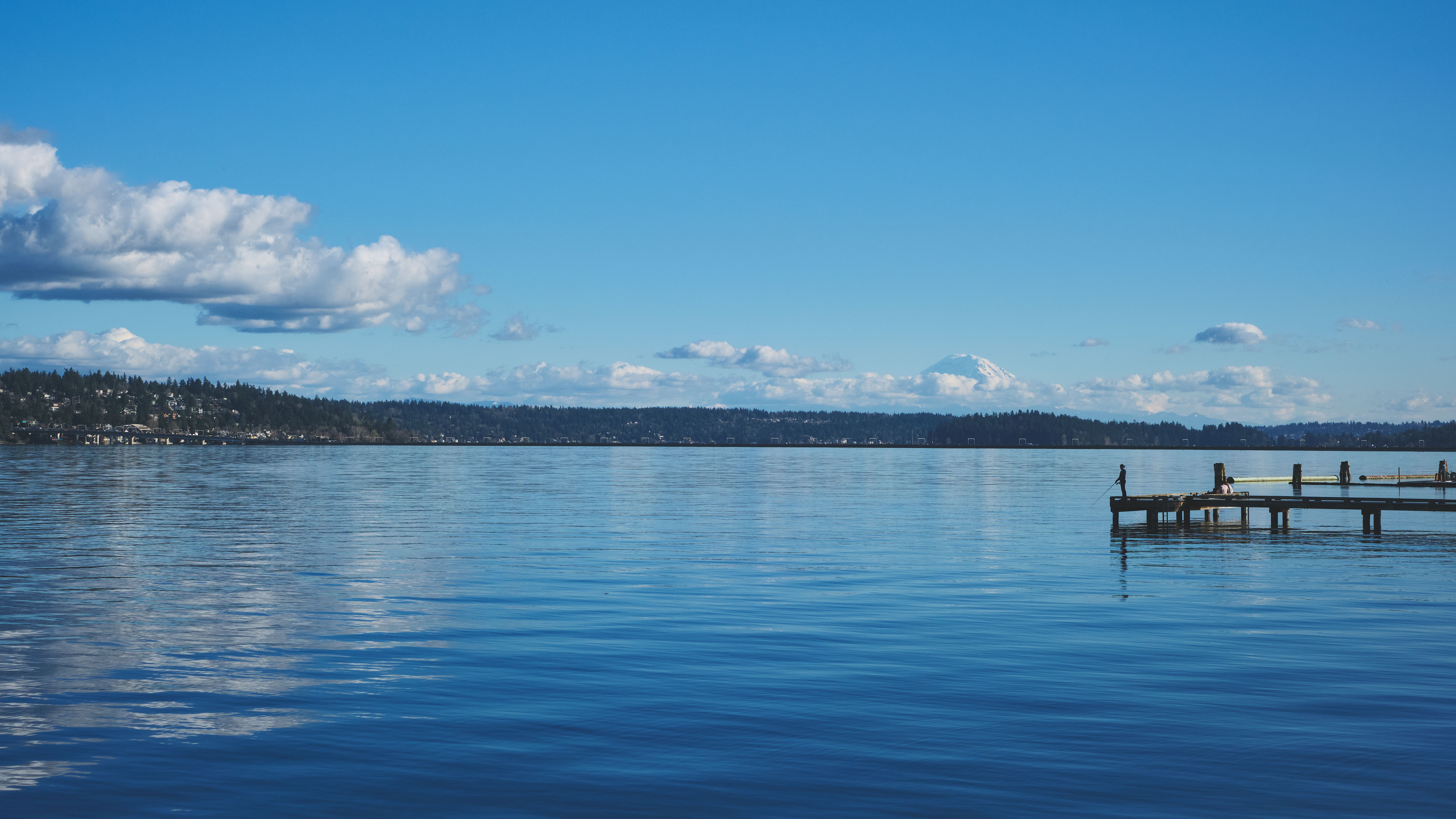 Fishing Forum Photos, Download The BEST Free Fishing Forum Stock Photos ...