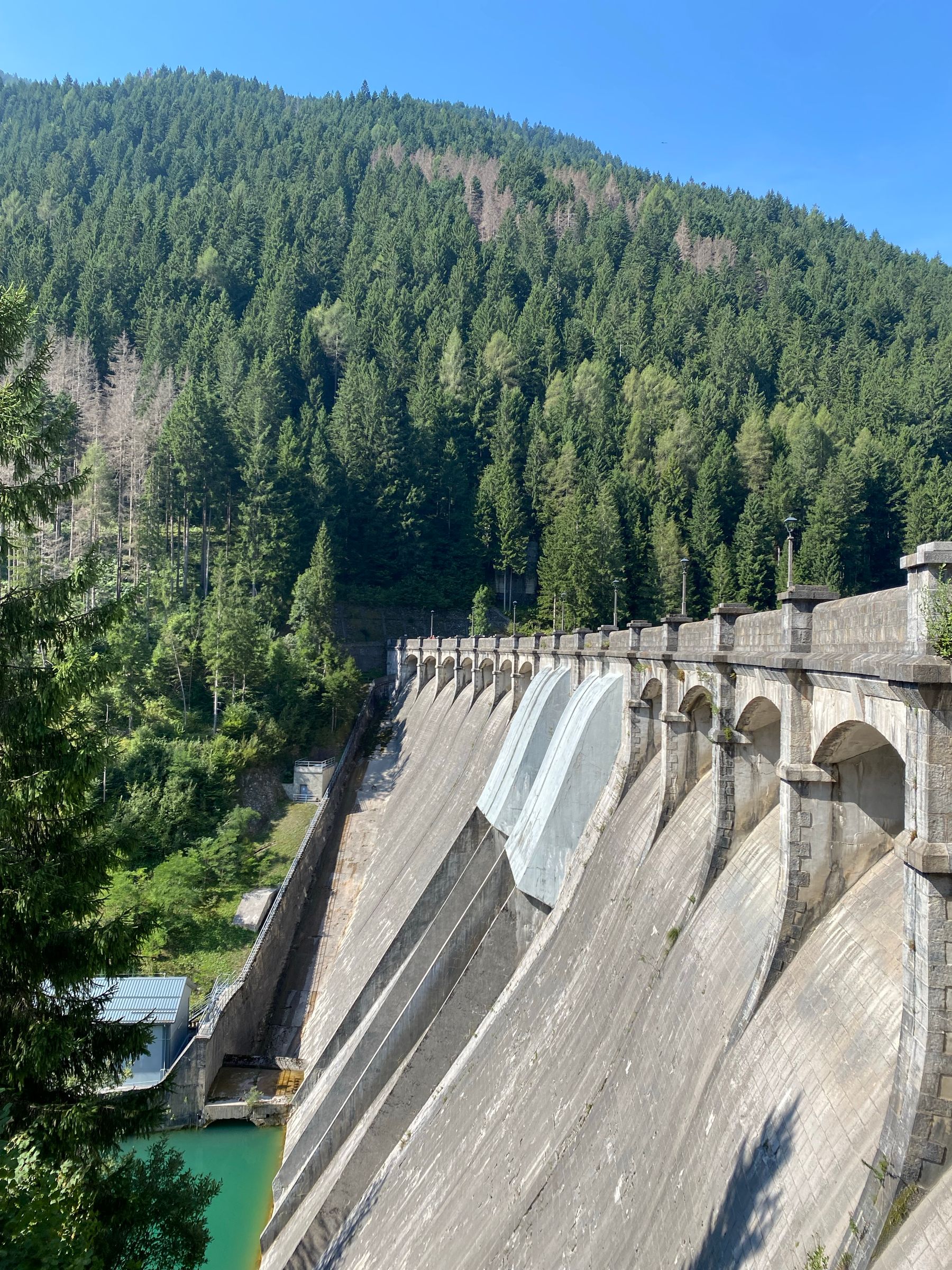 Presa rodeada de bosque, referencia visual para gestión de agua e infraestructura ambiental