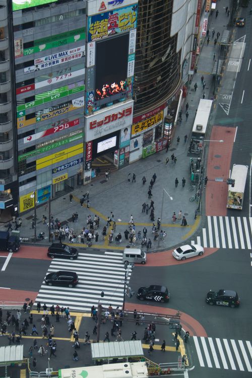 Free Aerial shot of Shibuya Crossing, Tokyo, Japan, showing busy pedestrian traffic and vibrant city life. Stock Photo