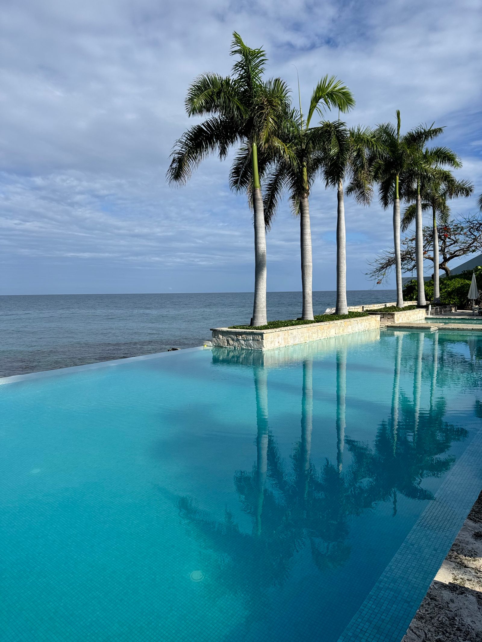 A tropical infinity pool overlooking the ocean at a beachfront resort