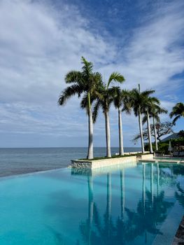 Tranquil infinity pool overlooking the ocean with palm trees under a blue sky.