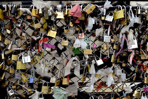Free stock photo of love padlocks, padlocks Stock Photo