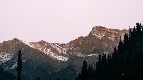 Free Stunning view of snow-capped mountains and pine trees at dawn. Stock Photo