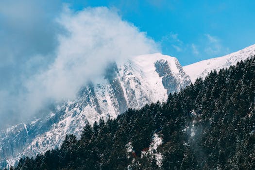 Majestic snowy mountain peaks emerging from dense clouds with lush forest below.