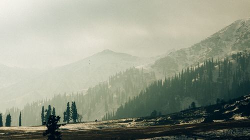 Free A tranquil mountain landscape with misty hills and tall pine trees, capturing winter's essence. Stock Photo