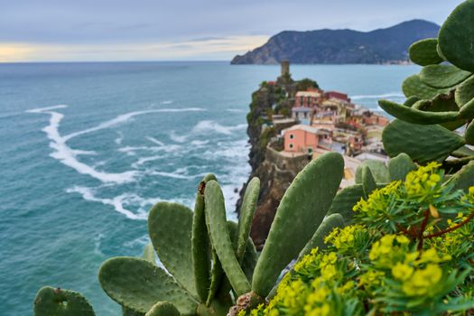 Breathtaking view of Vernazza with cactus in foreground along the scenic Cinque Terre coastline.