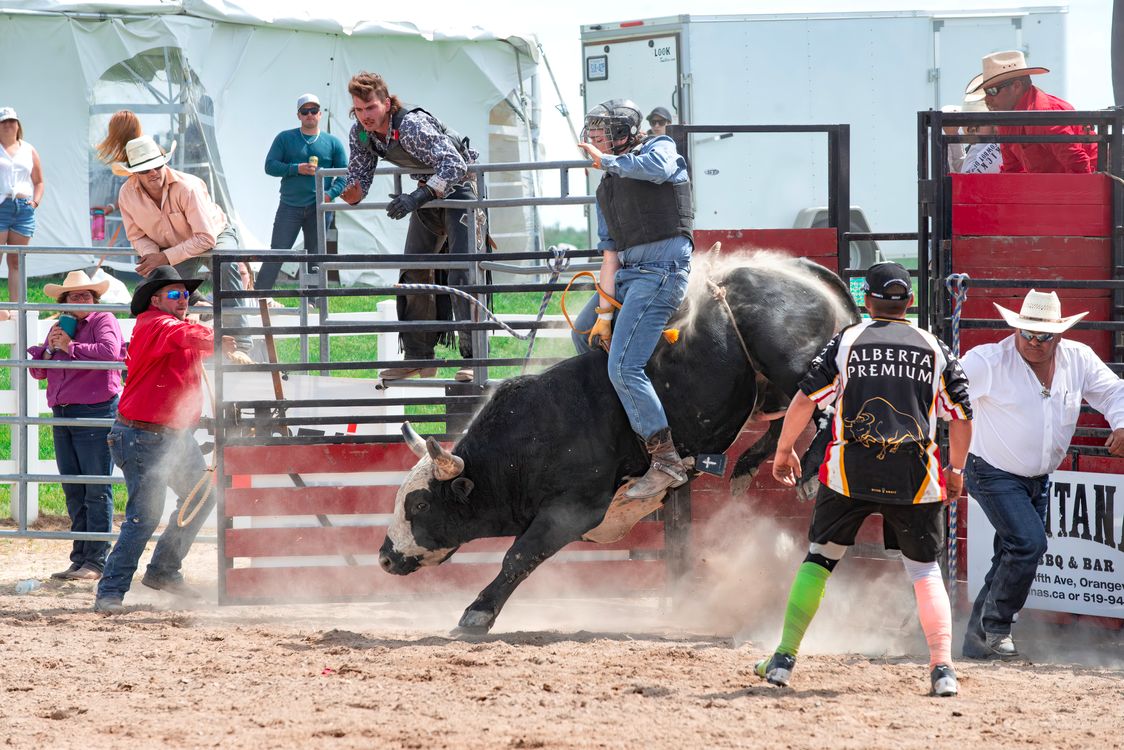 Exciting Rodeo Bull Riding Competition Action · Free Stock Photo