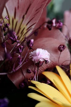 Intricate close-up of blooming and wilted flowers showcasing vibrant colors and textures.