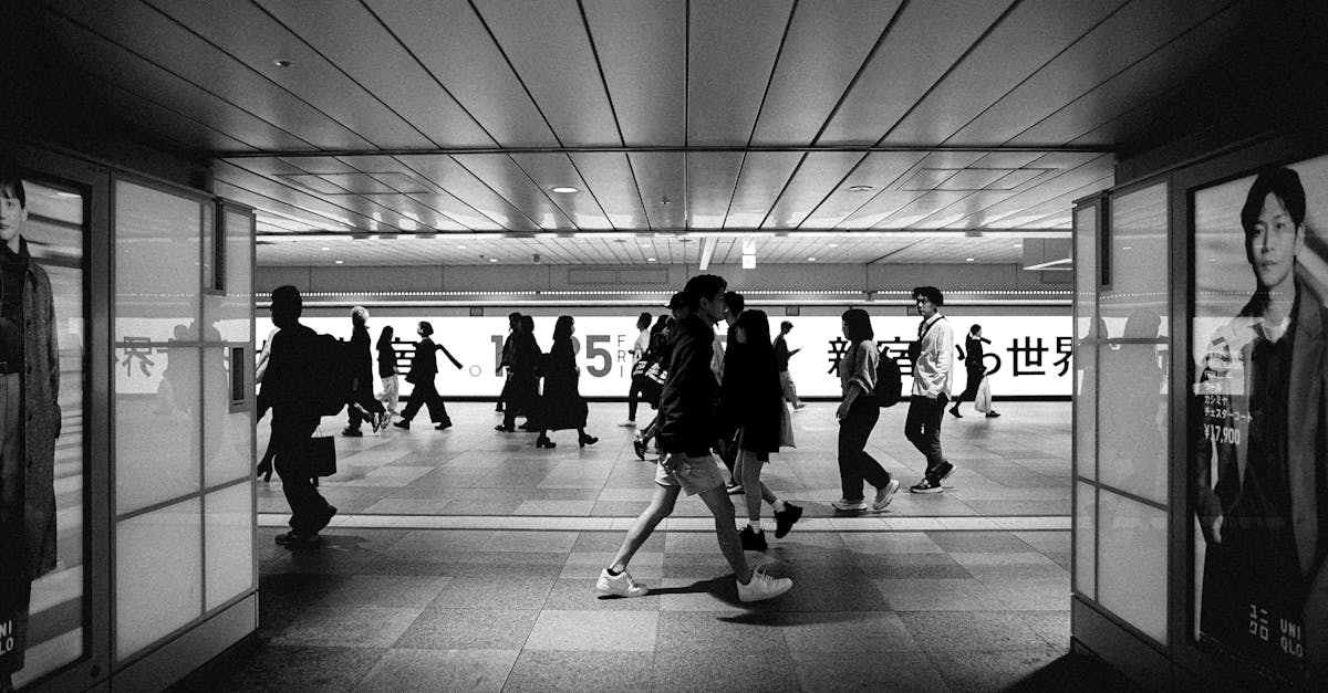 日本旅游业12月月度报告与增长趋势 日本旅游业12月月度报告与增长趋势