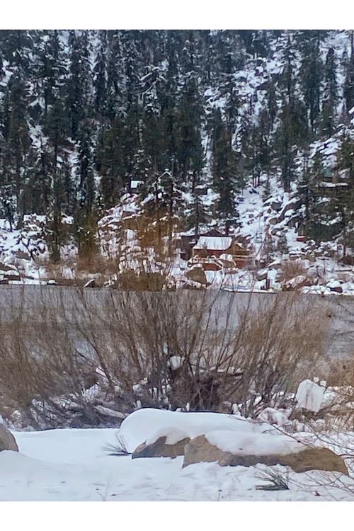 Free Big Bear Snow Day Stock Photo