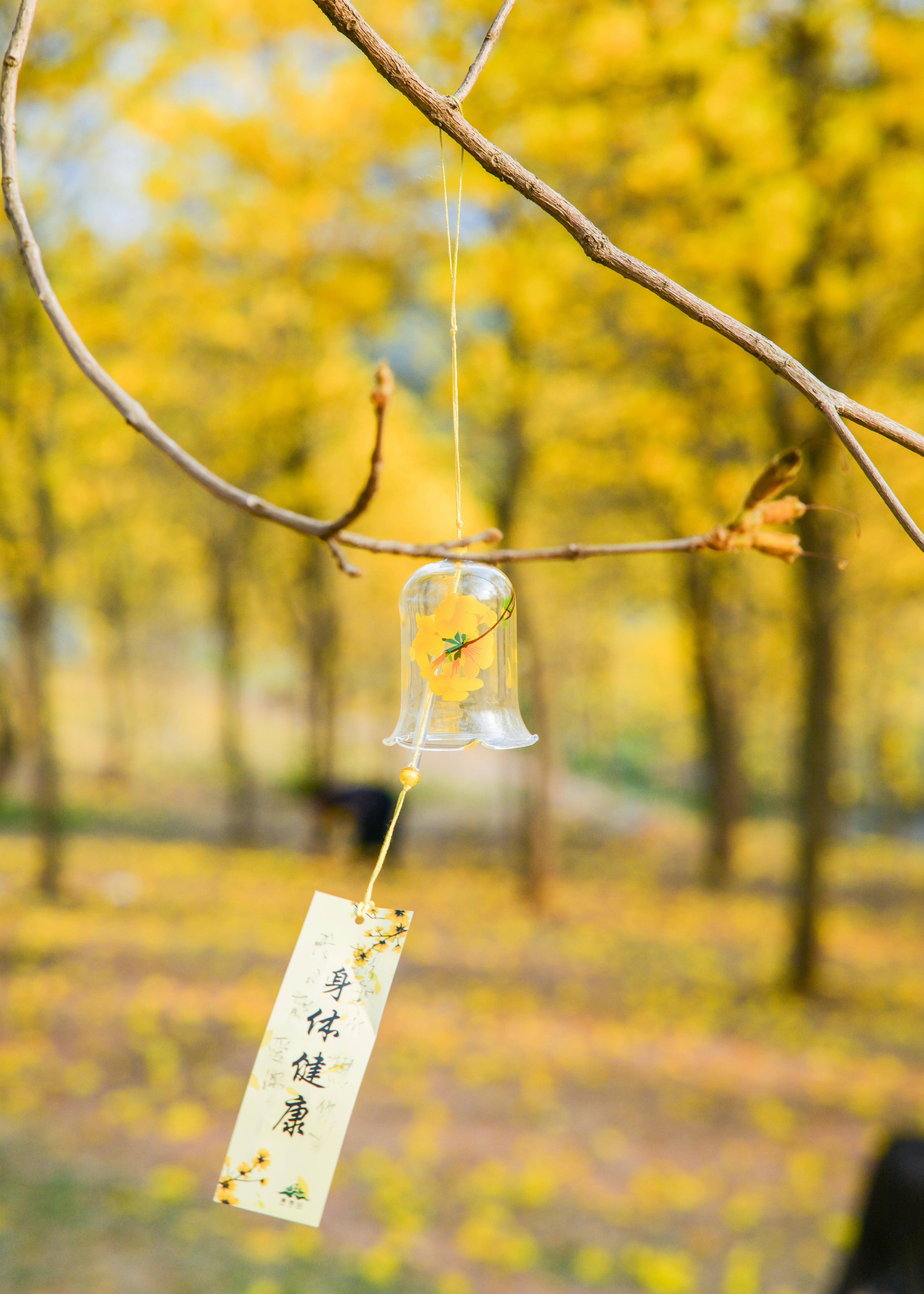 thumbnail of the cover of the post