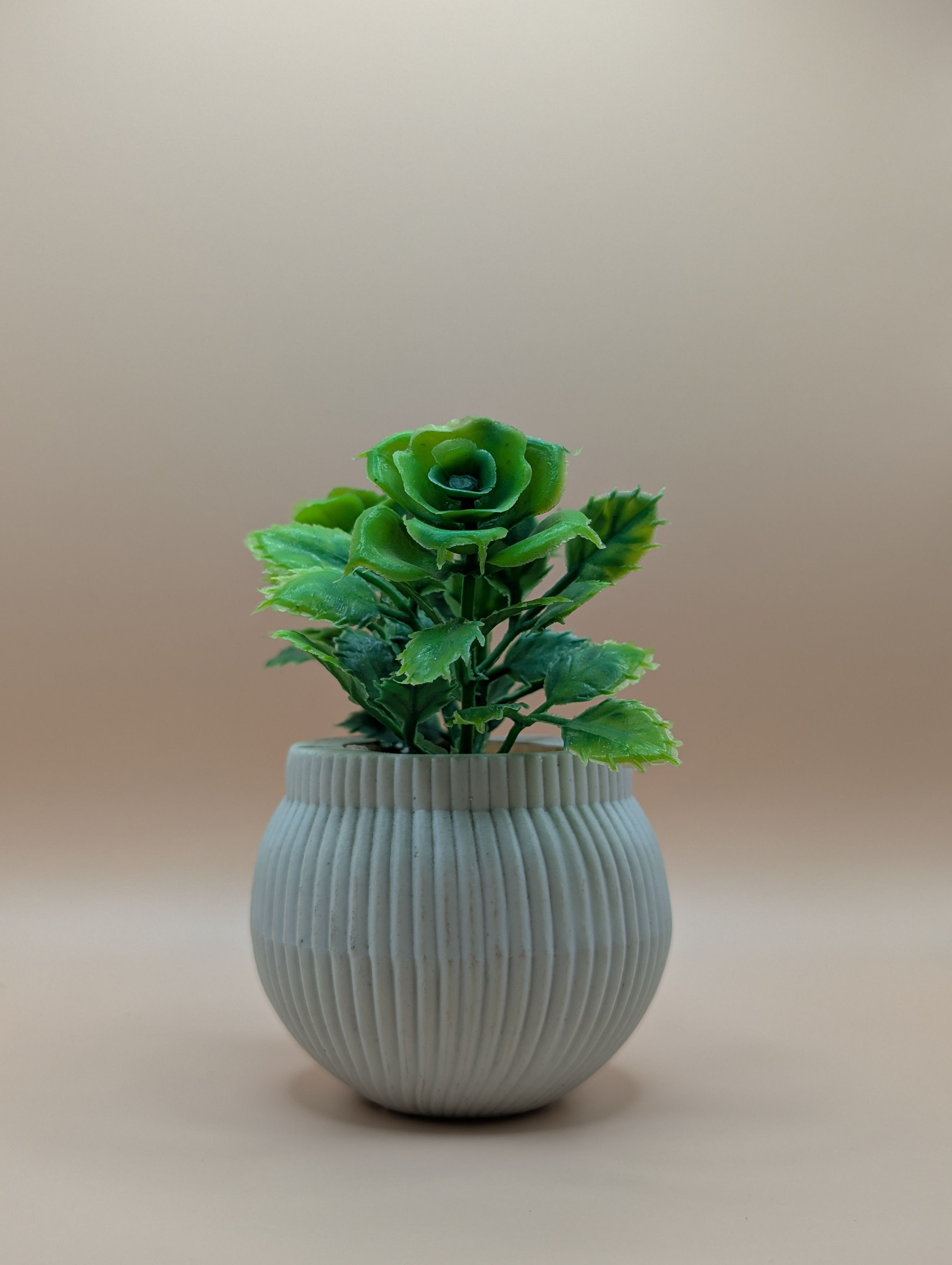 Green Potted Plant in Ribbed Ceramic Pot · Free Stock Photo