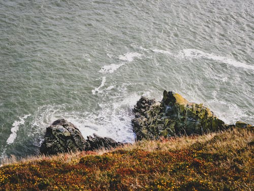 Free Aerial Photography Bodyo of Water Stock Photo