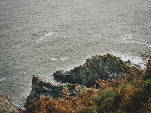 Overlooking Body of Water