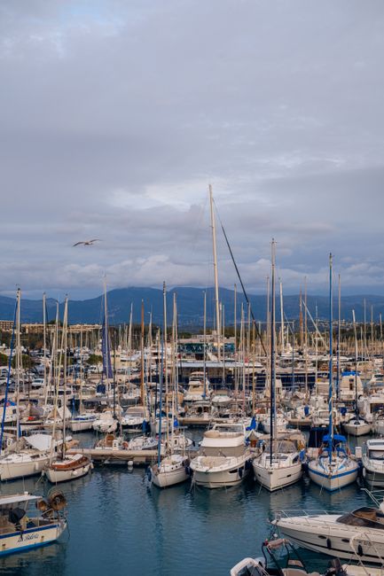 Serene marina scene with boats, mountains, and overcast sky, perfect for travel and nature enthusiasts.