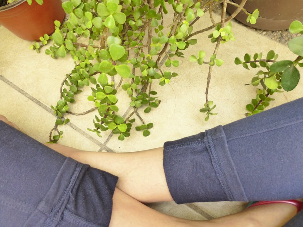 Free stock photo of cross legged, gardening, introspection Stock Photo