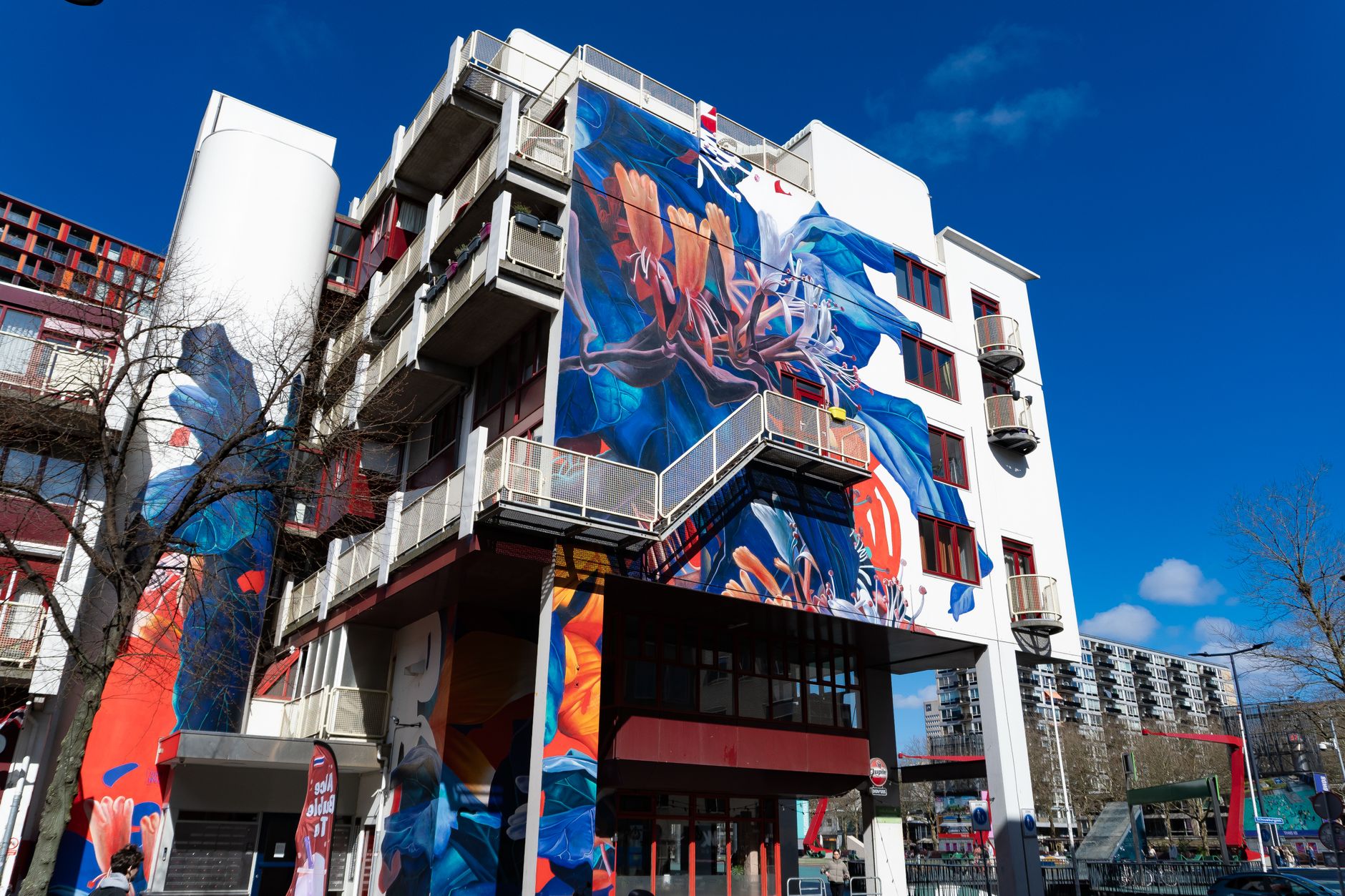Vibrant street art covers a modern building in Rotterdam under a clear blue sky.