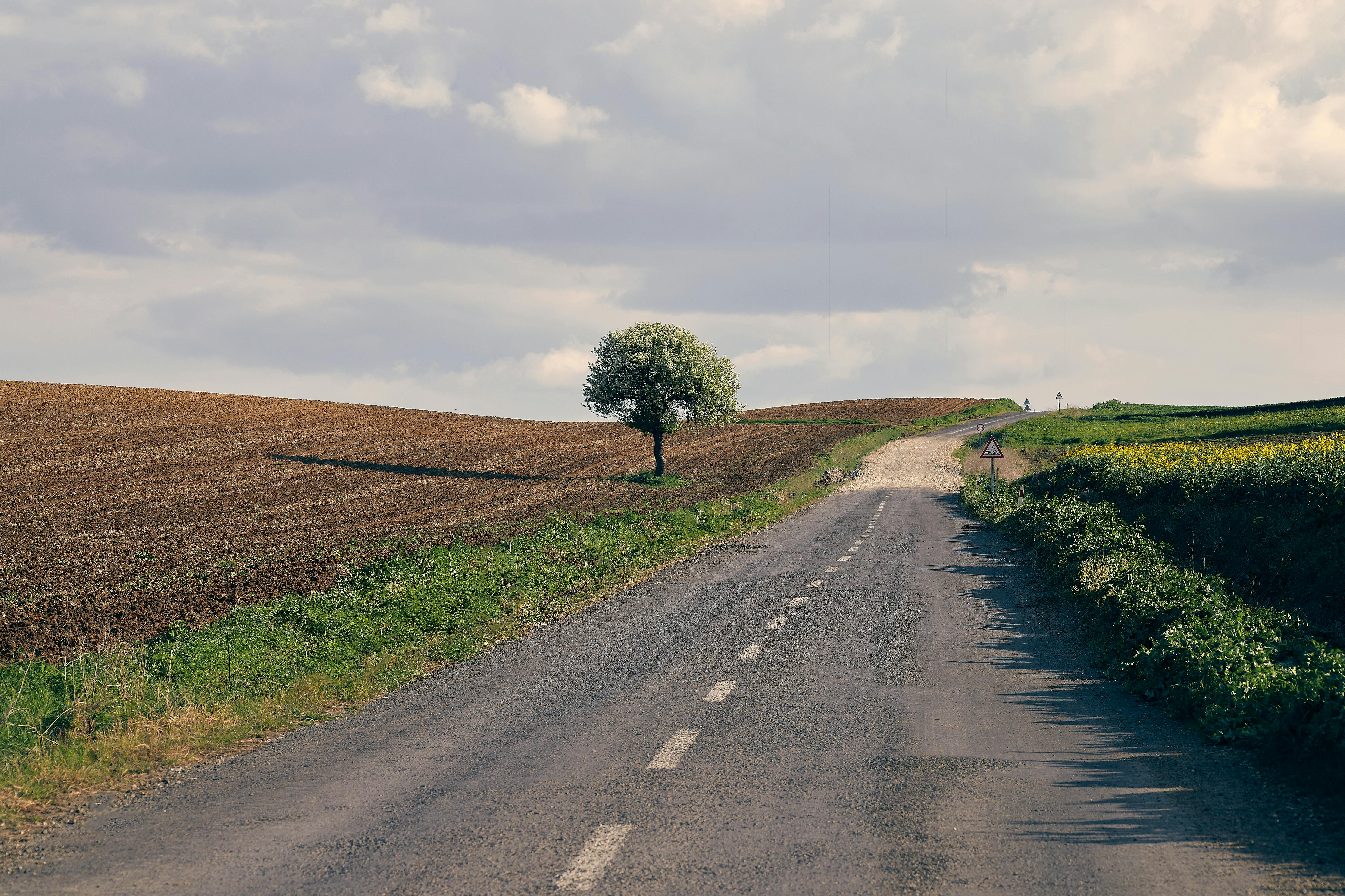 The Remarkable Journey of 'Nature'