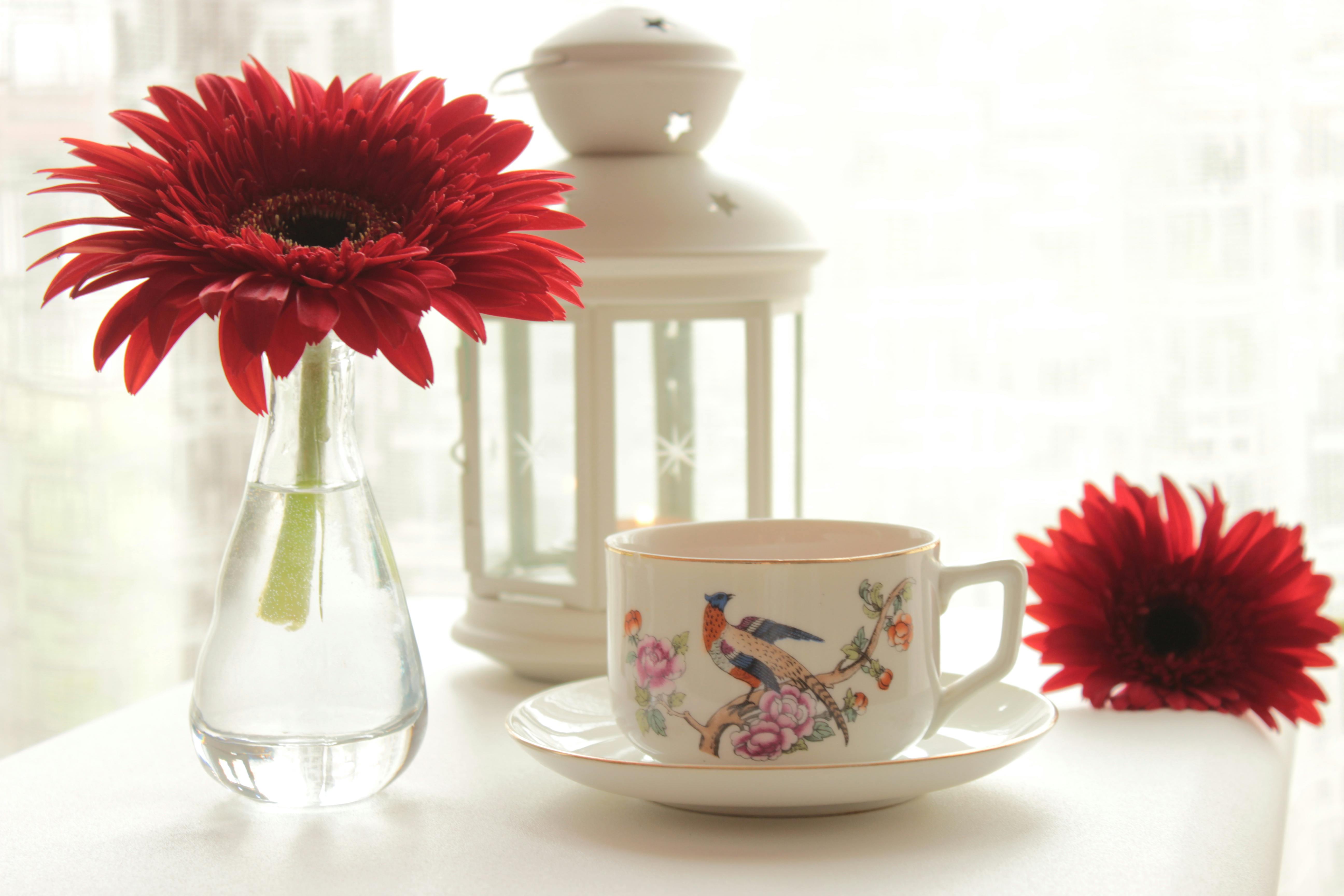 A serene indoor tea setup featuring a floral cup, red gerbera flowers, and a decorative lantern.