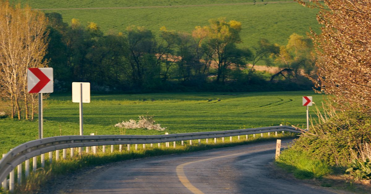 Rüyada Arabayla Uzun Yolculuğa Çıkmak - Rüya Tabiri ve Anlamı - Free stock photo of alberi, albero, amazing