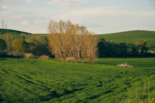 natura