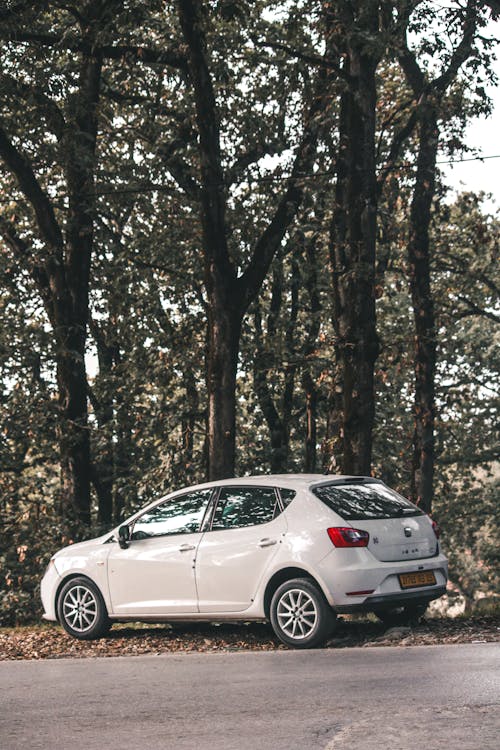 Free White SUV Near Trees Stock Photo