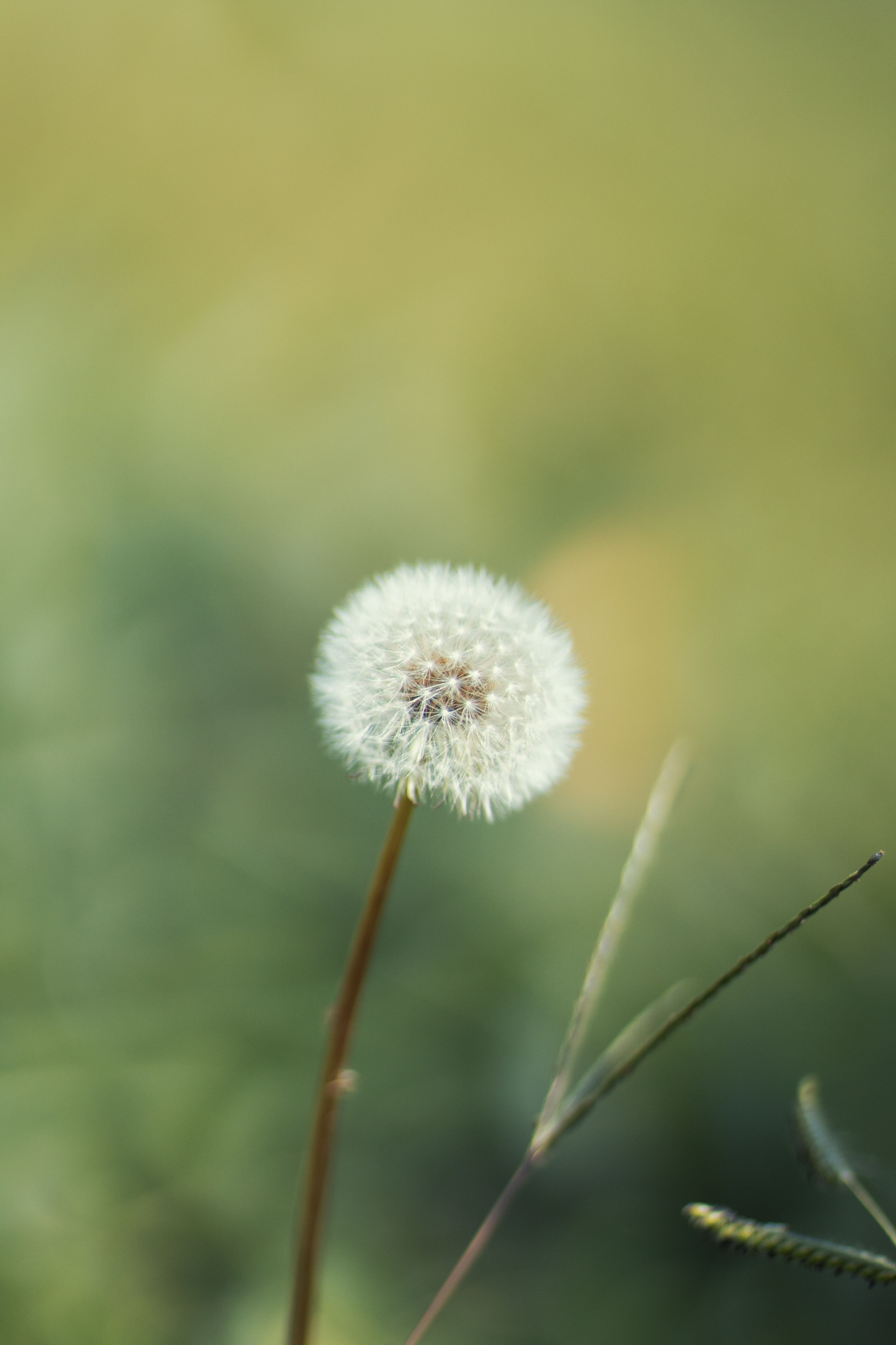 51 Ways To Reduce Allergies