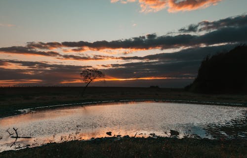 Prairie Sous Un Ciel Nuageux Pendant L'heure D'or