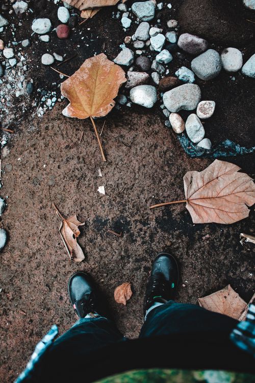 Free Top view of feet on rocky ground with fallen autumn leaves, showcasing earthy textures. Stock Photo