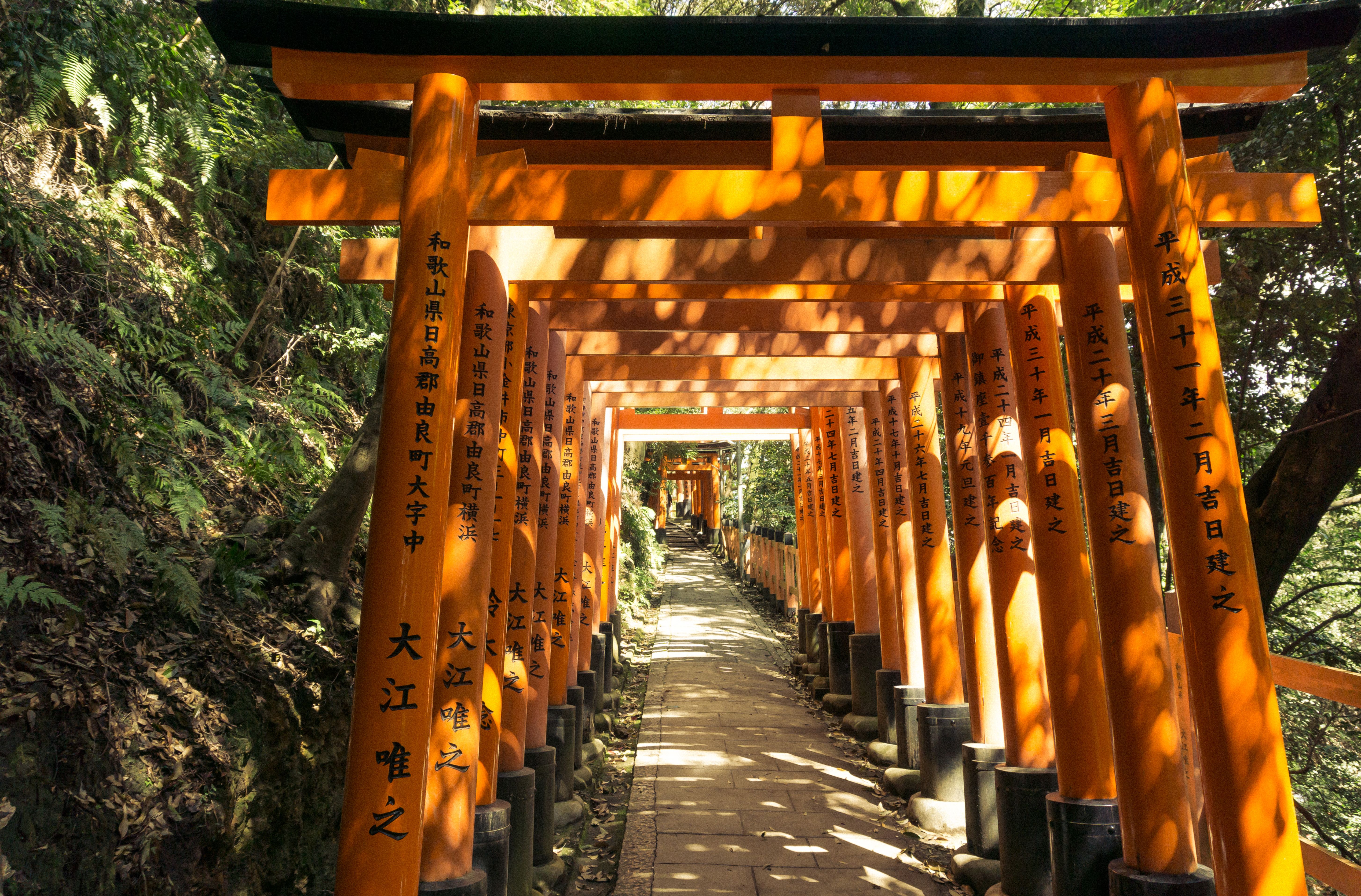 Vibrant Torii Gates at Fushimi Inari Shrine · Free Stock Photo