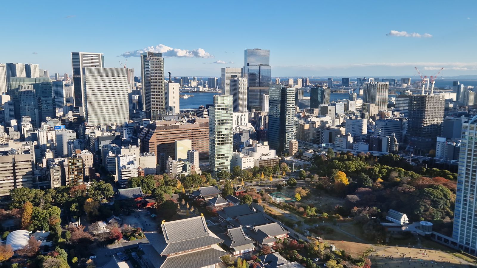 Tokyo skyline and greenery