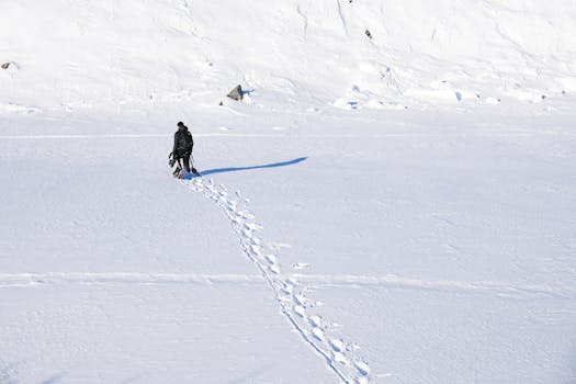 Lonely figure walking across a vast snowy field, leaving footprints behind.