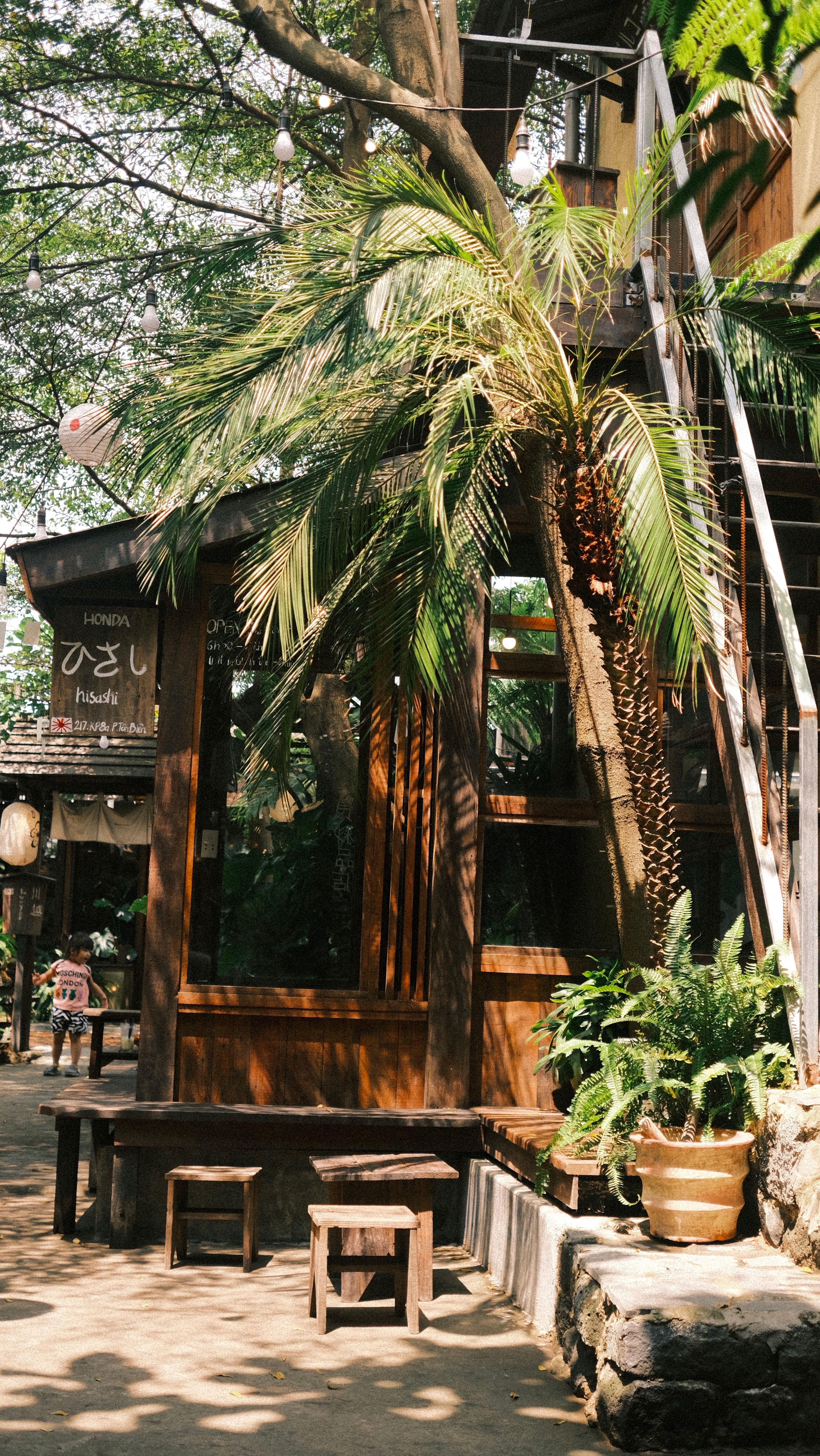 Charming Outdoor Cafe with Palm Trees