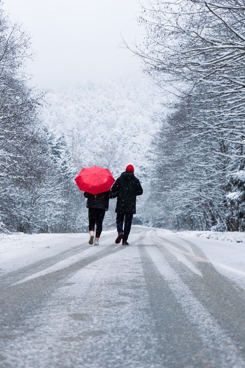 Free A couple strolls through a snowy forest road in Bolu, Türkiye, under a vibrant red umbrella. Stock Photo