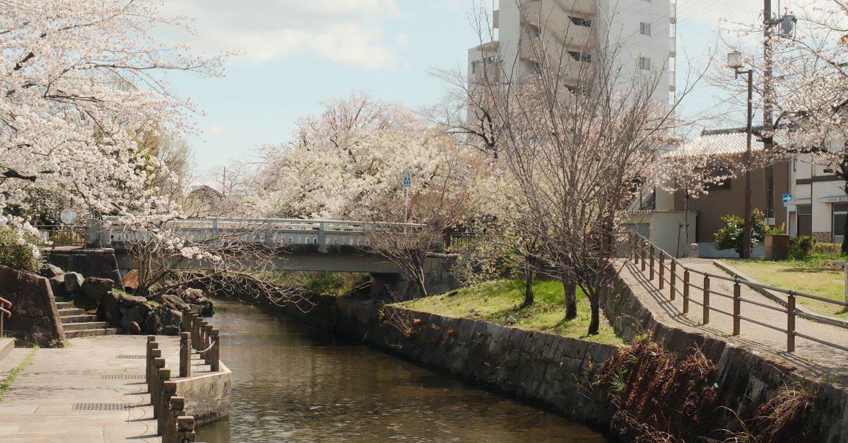 Rüyada Açık Hava Görmek - Rüya Tabiri ve Anlamı