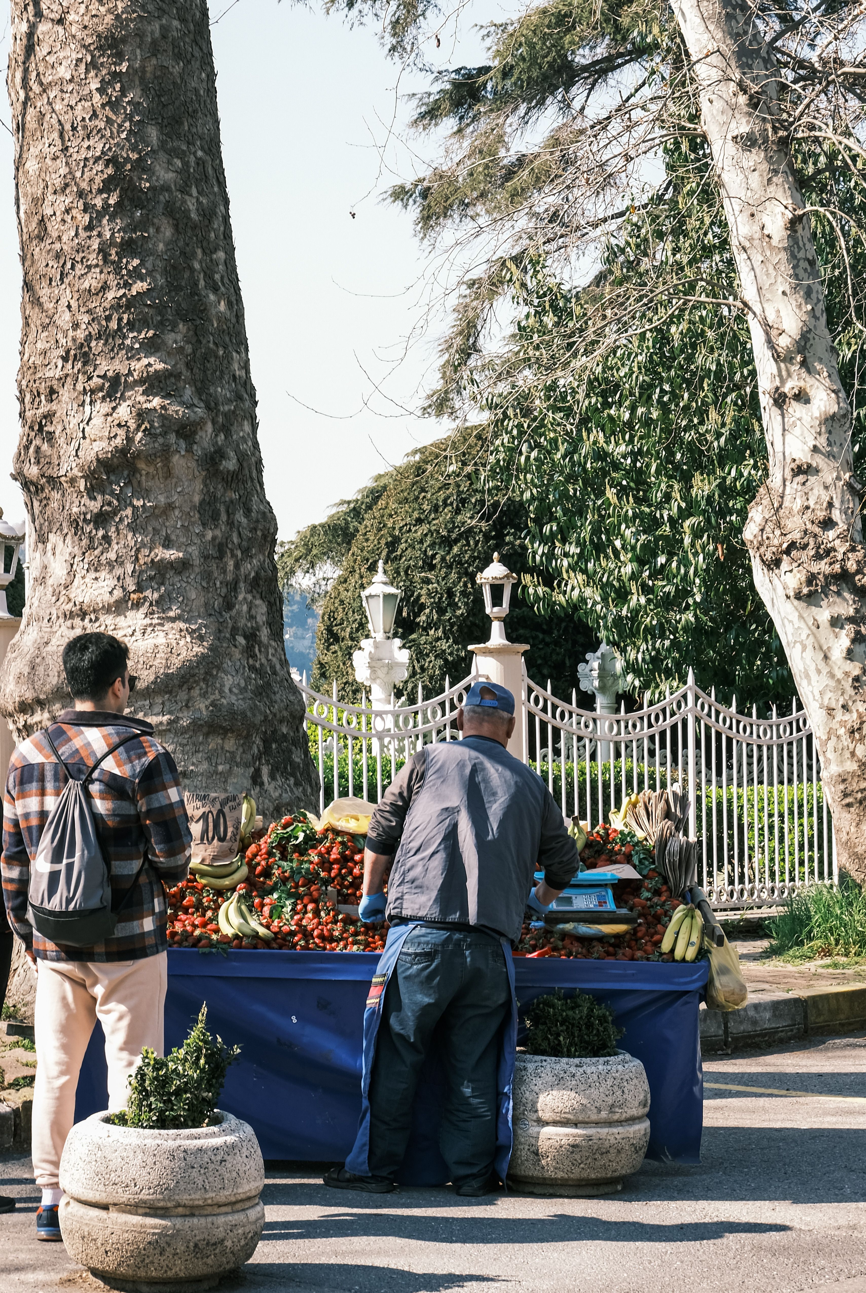 Outdoor Fruit Market Stall on a Sunny Day · Free Stock Photo